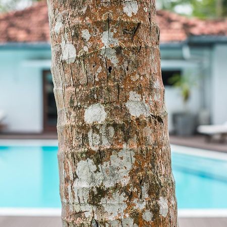 Cattleya Villa Hikkaduwa Exterior foto
